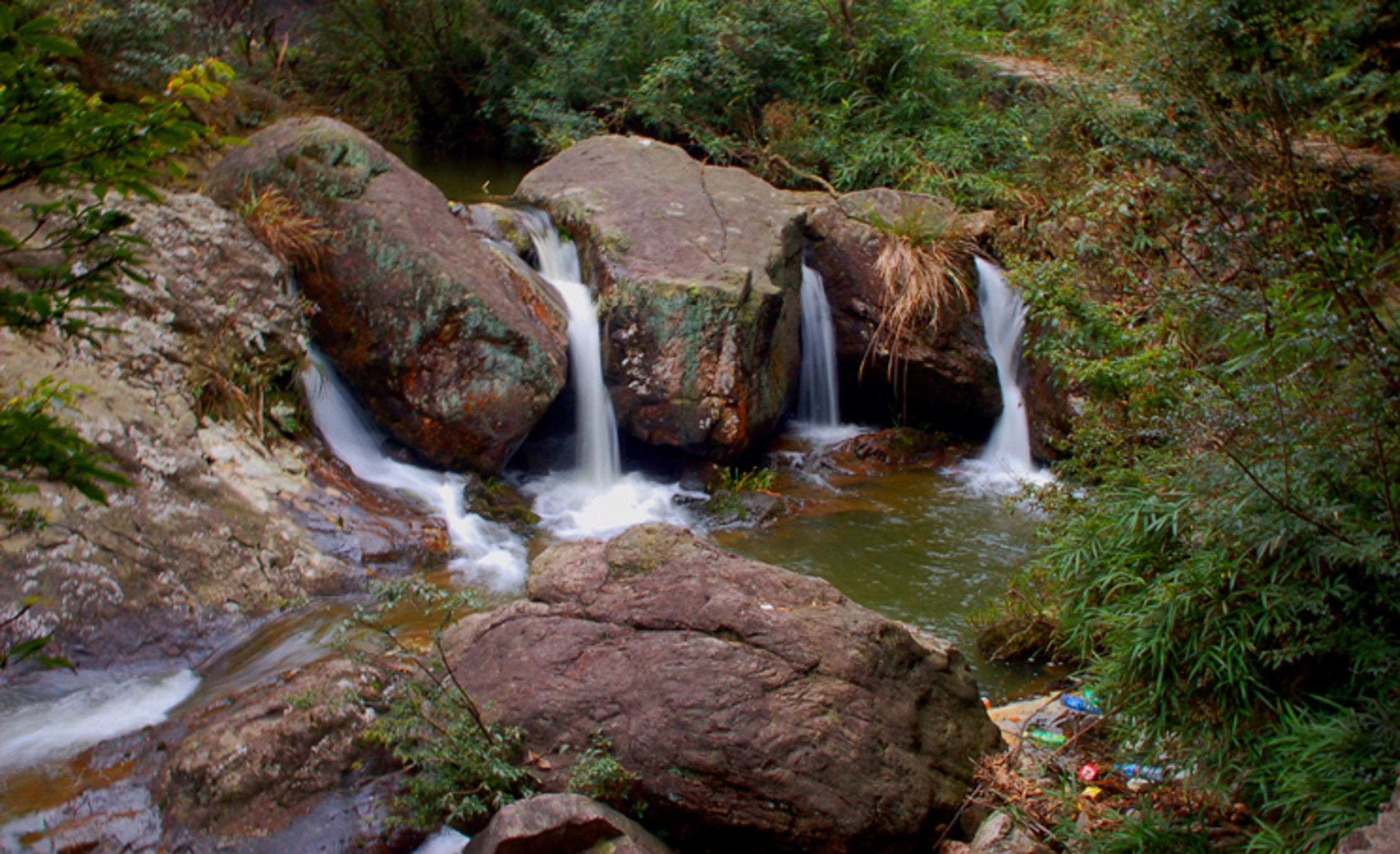 福建旗山国家森林公园