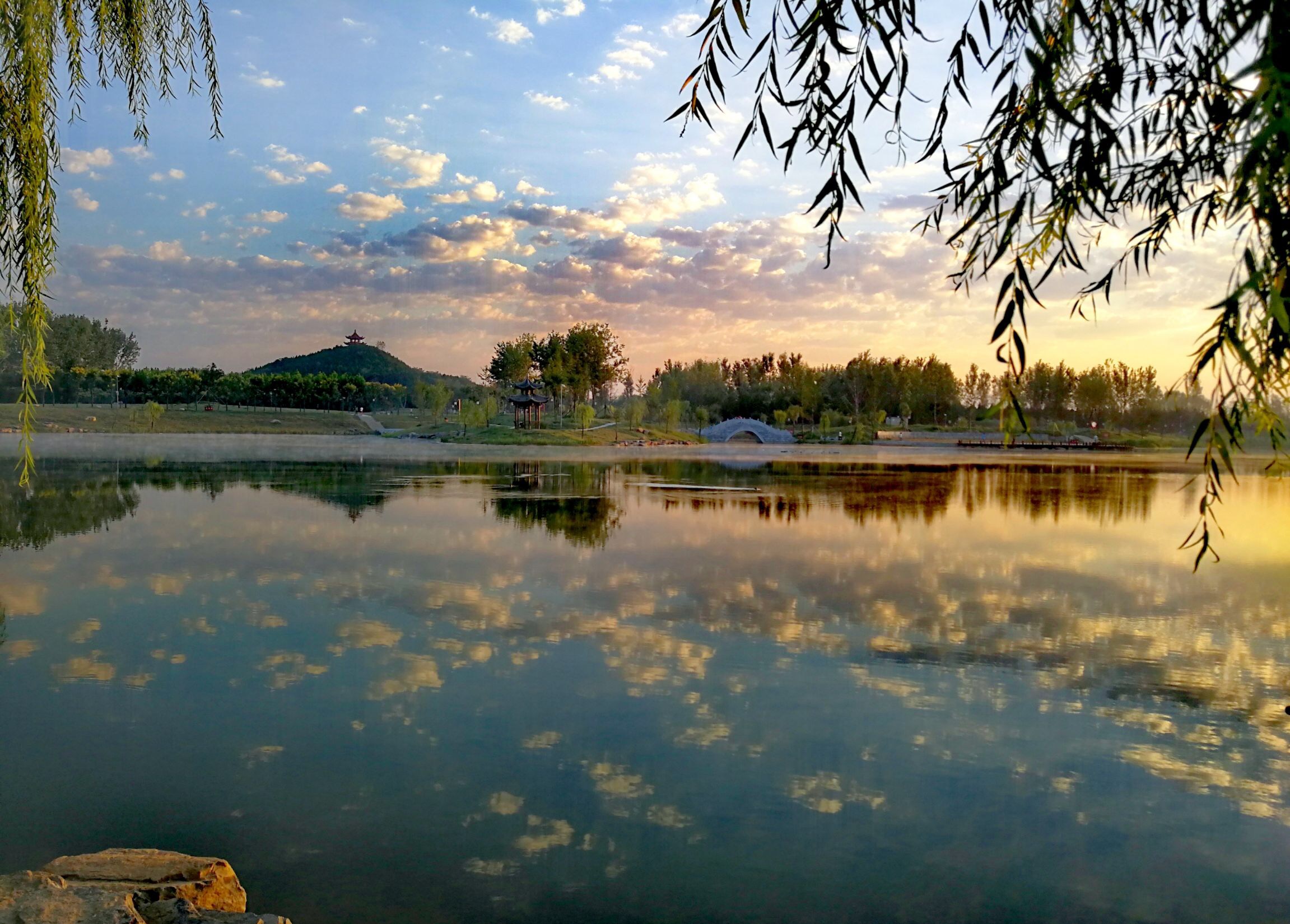 禹州森林植物园