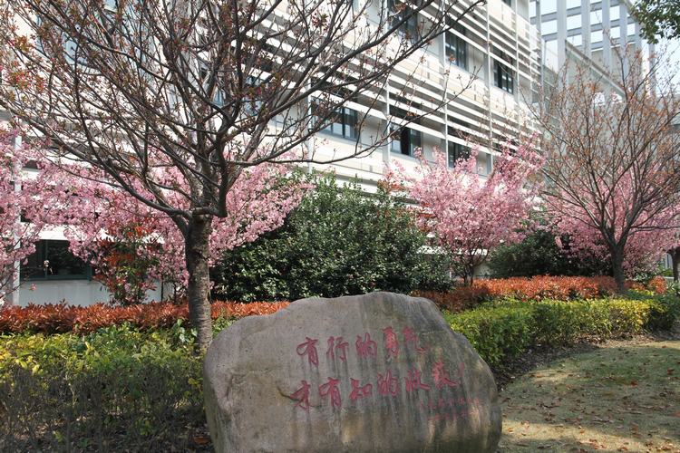 上海市行知中学