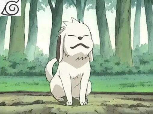  p>赤丸,日本漫画《 a target="_blank" href="/item/火影忍者/8702"