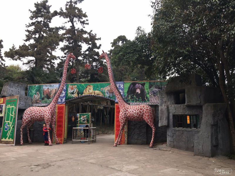 合肥逍遥津动物园