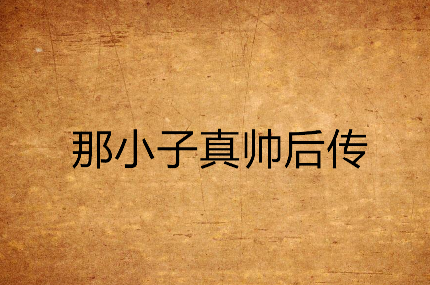 那小子真帅后传