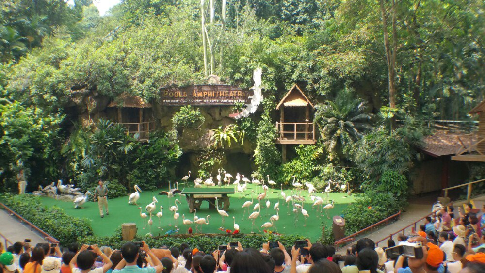  p>裕廊飞禽公园(jurong bird park)坐落在 a target="_blank" href="