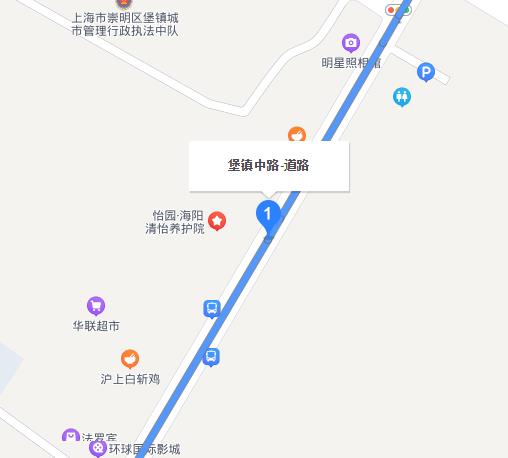 堡镇中路