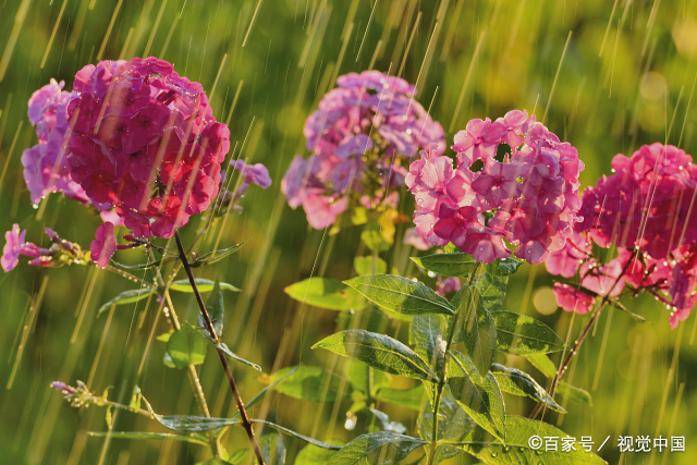夏天下雨是一种什么样的体验_百科TA说