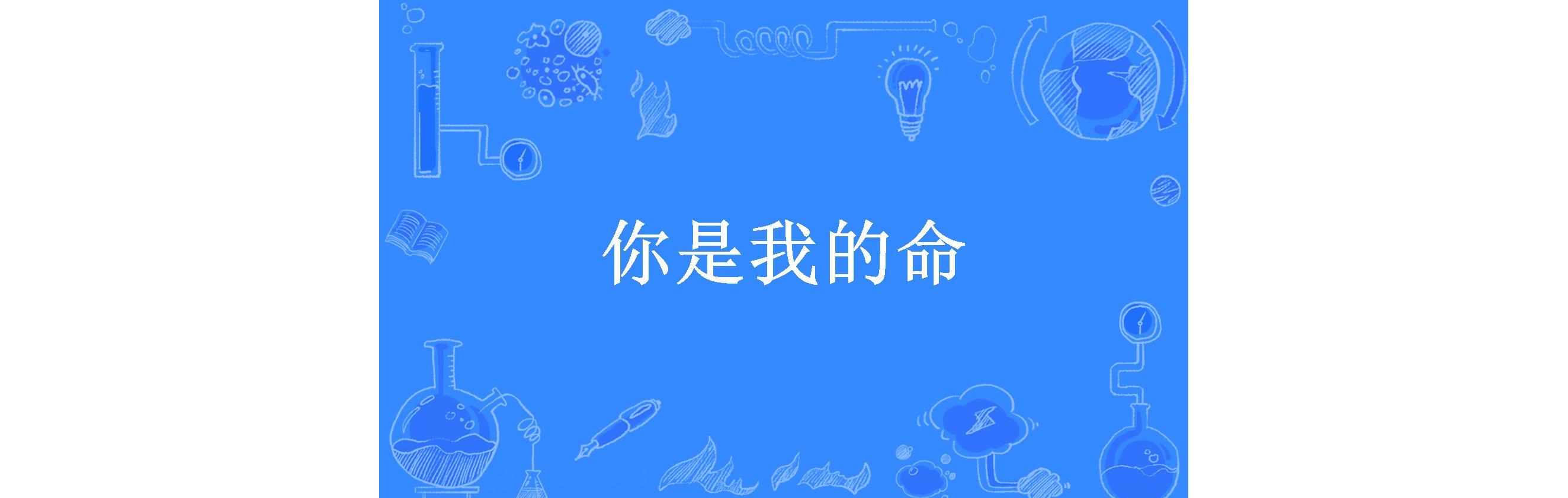 你是我的命