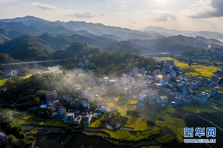 target="_blank" href="/item/梧州市/7260153" data-lemmaid="