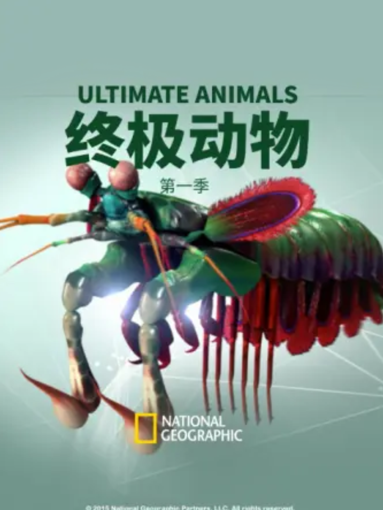 终极动物第一季