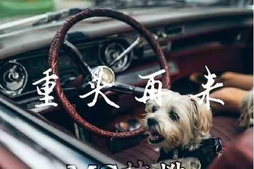 由mc吴迪作词,佚名作曲,收录于专辑《重头再来》中