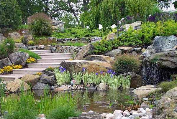 滨水植物景观设计