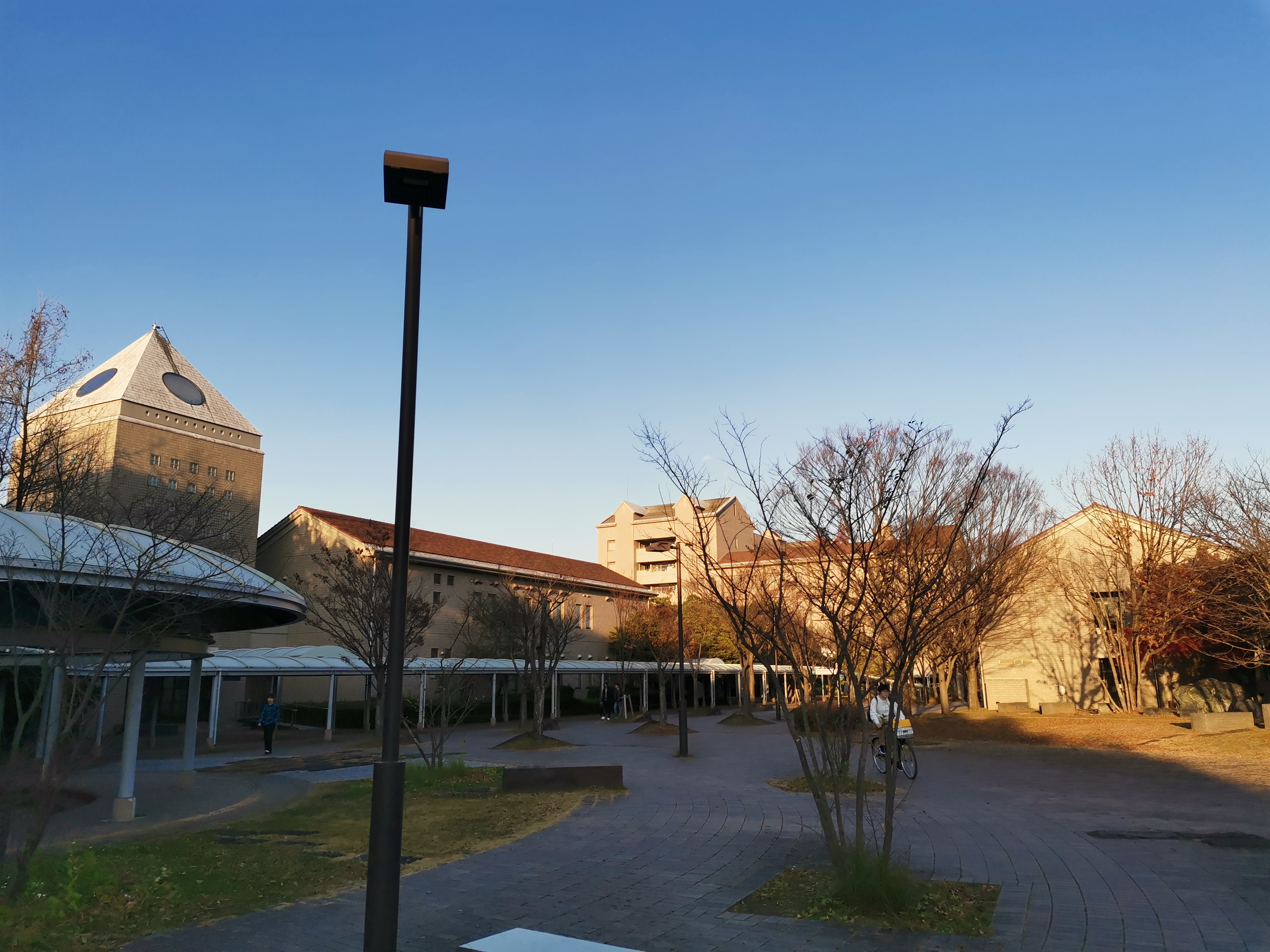 日本首都大学
