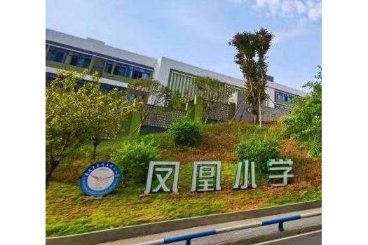 重庆市合川区凤凰小学