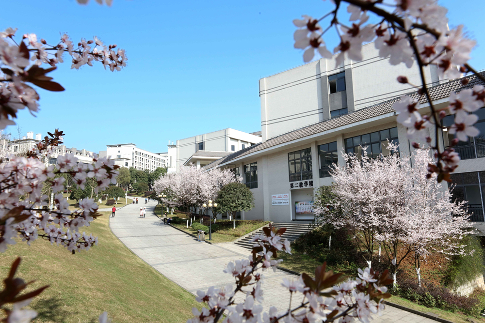 重庆第二师范学院