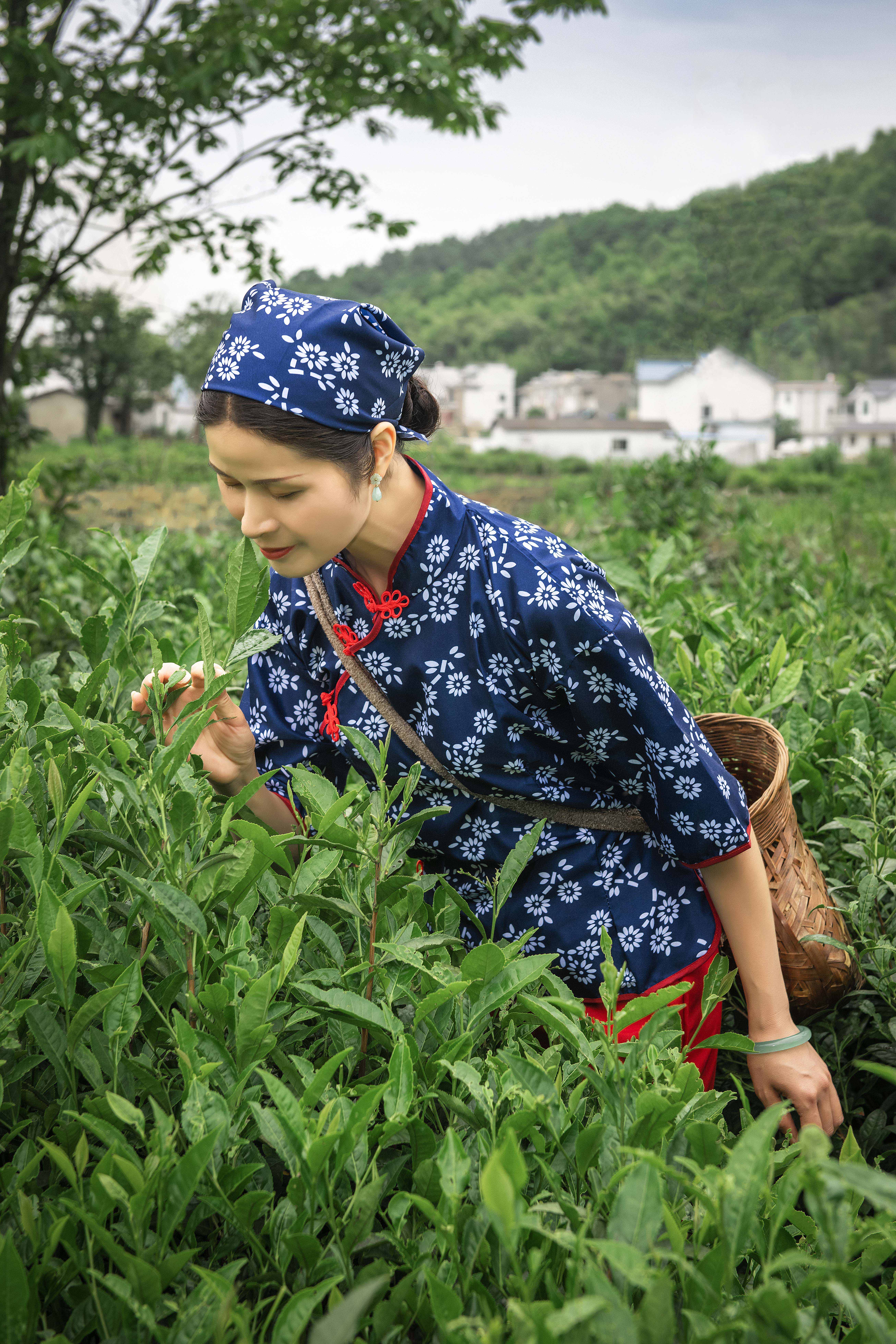 向玉莎莉