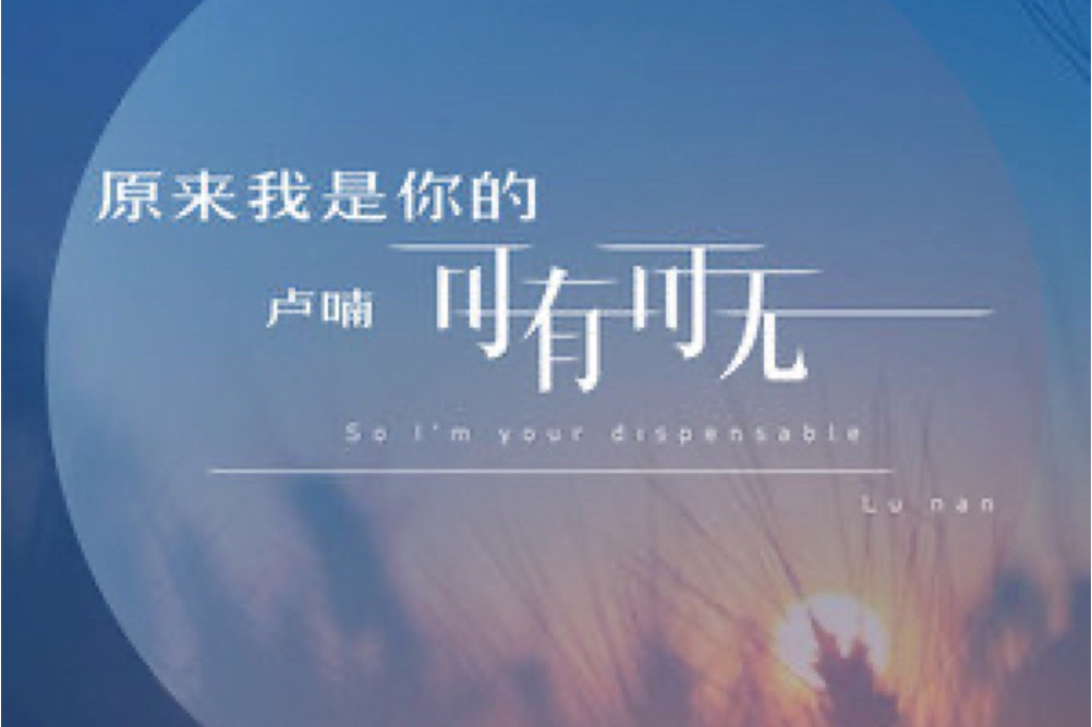 原来我是你的可有可无