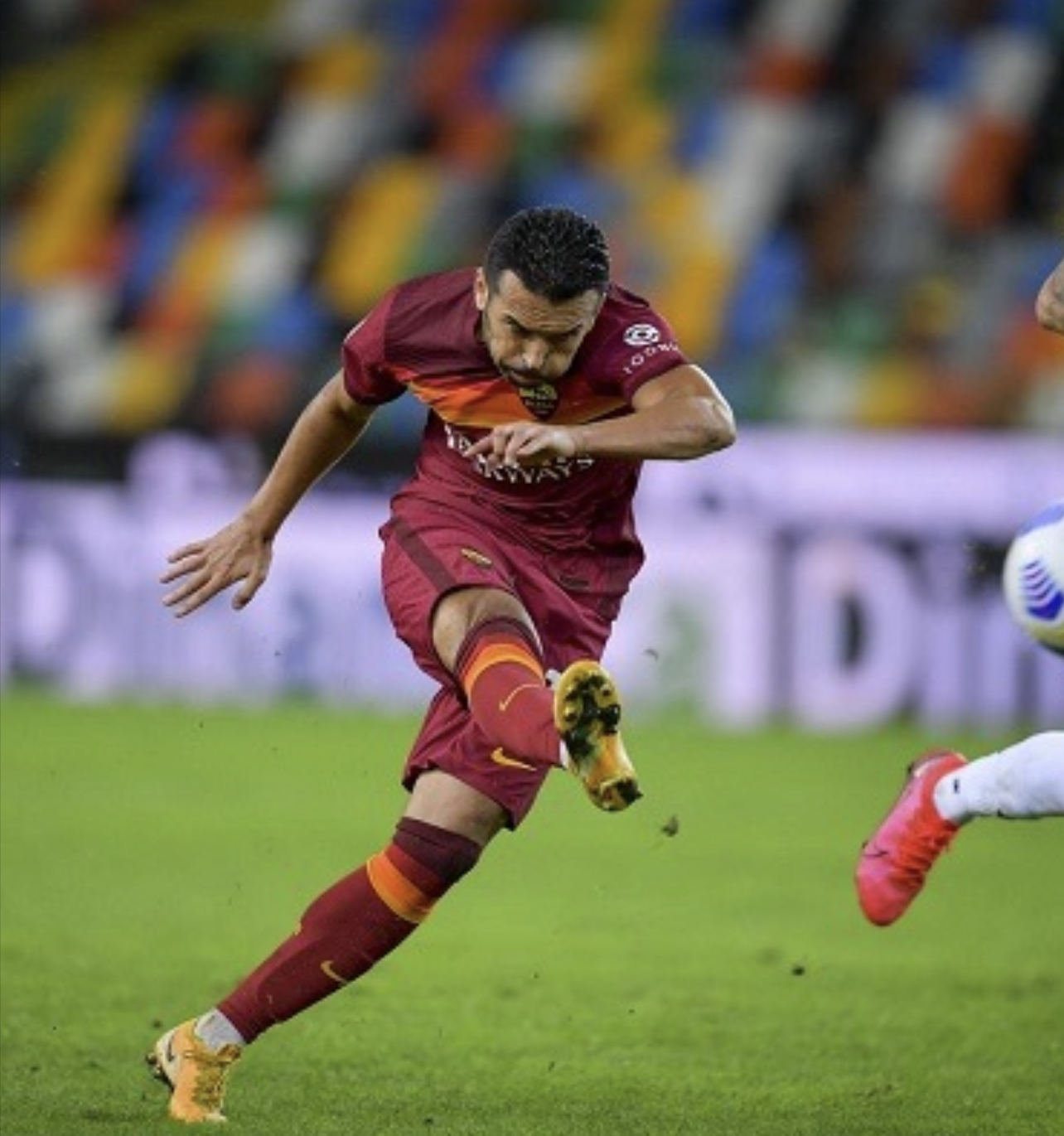 佩德罗·埃列泽尔·罗德里格斯·莱德斯马