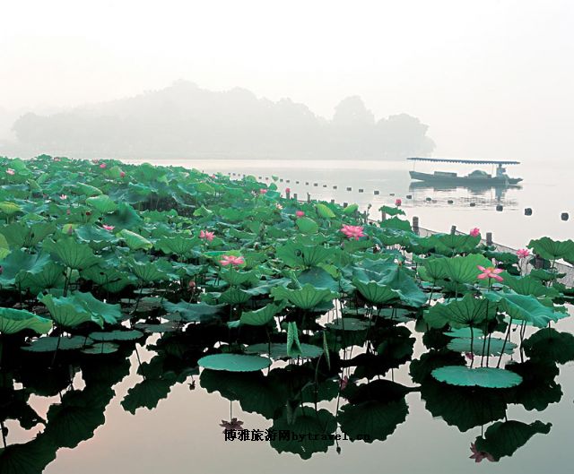  p data-id="gnhejlz2ab">红莲湖位于湖北省 a target="_blank" href=