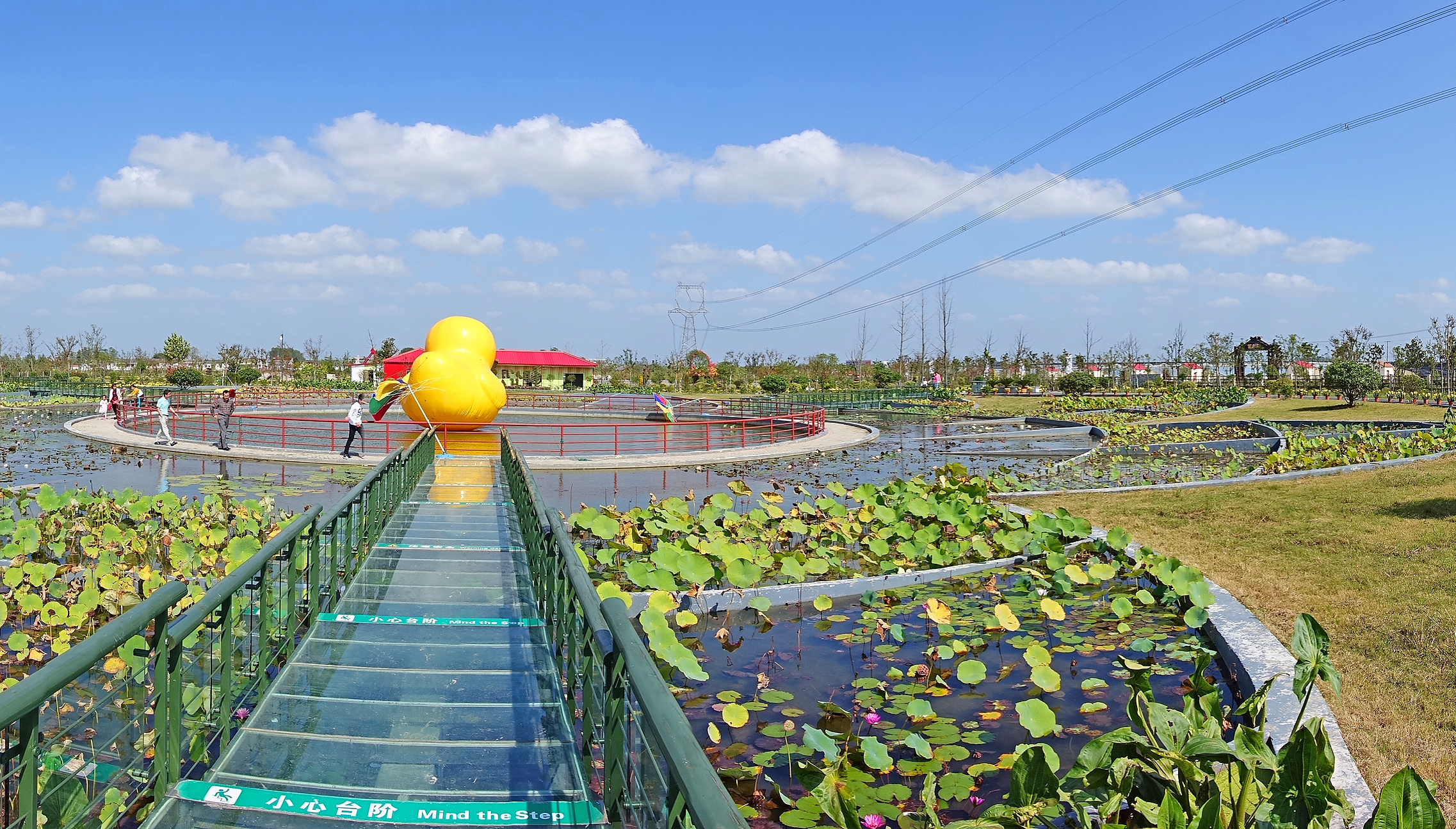  p> a href="#">台湾 /a>农民创业园是党中央, a href="#" data-lemma