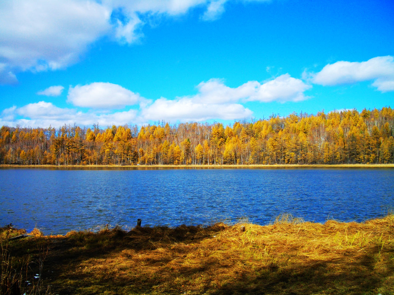 阿尔山森林公园