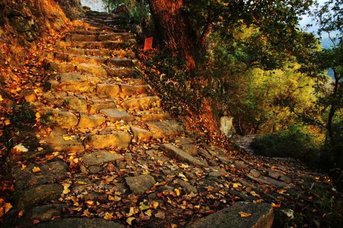 峡川镇东坪古道