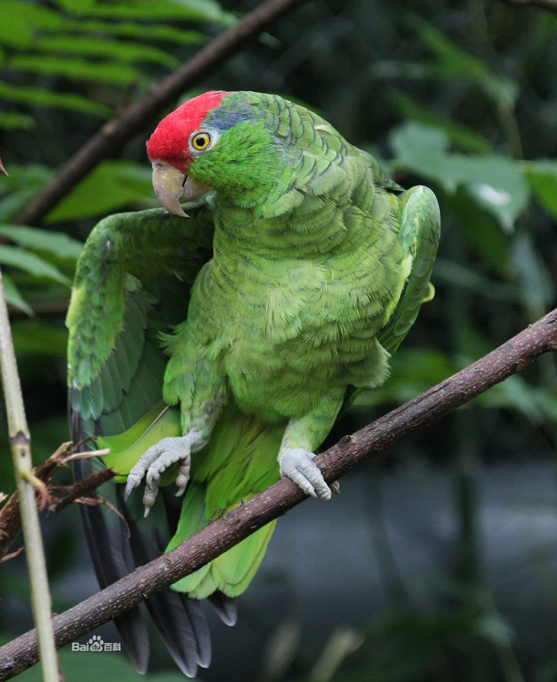 츹_츹βֵǮ_츹ʳΪʲô