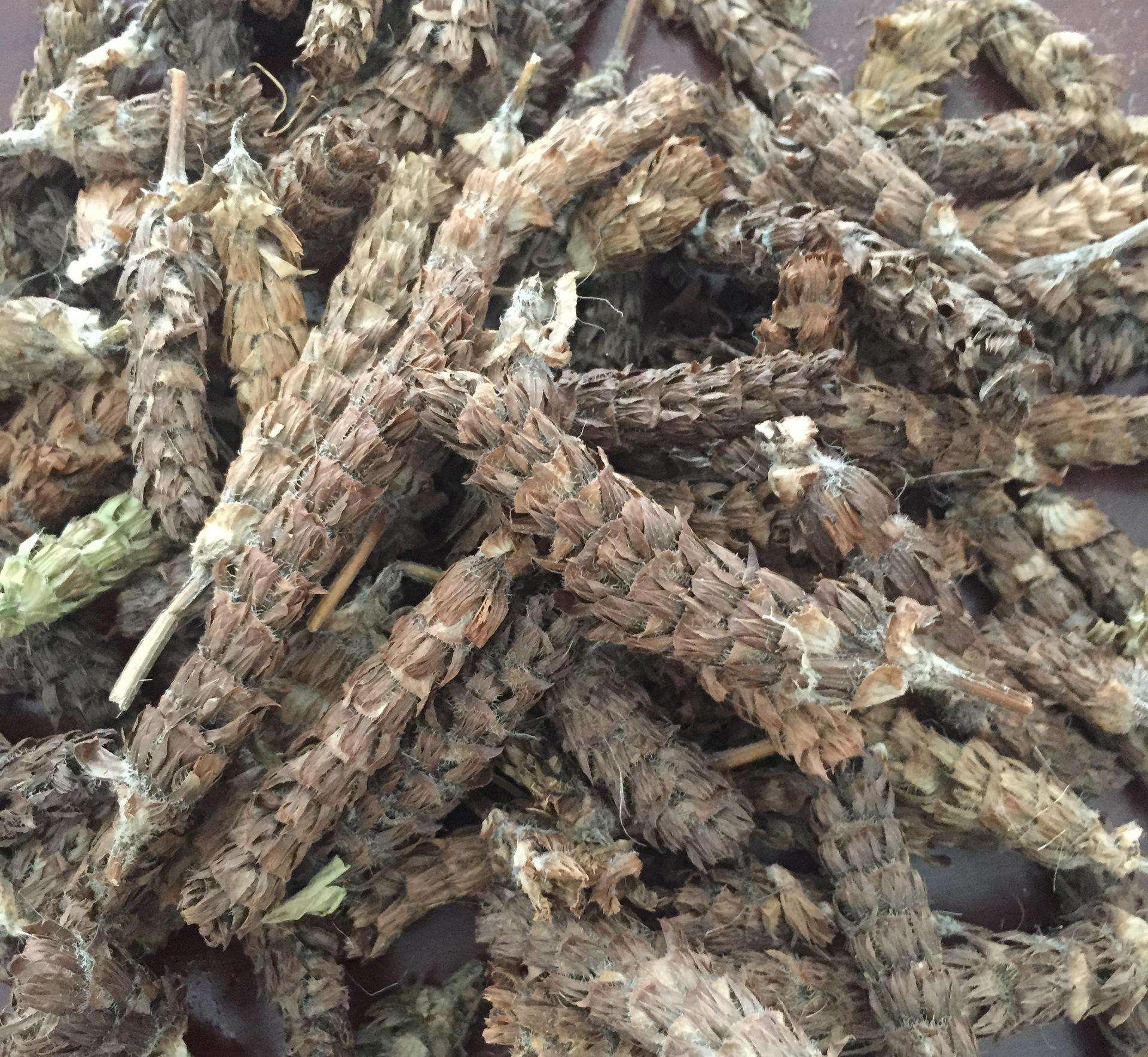 夏枯草 - 妙妙知识屋