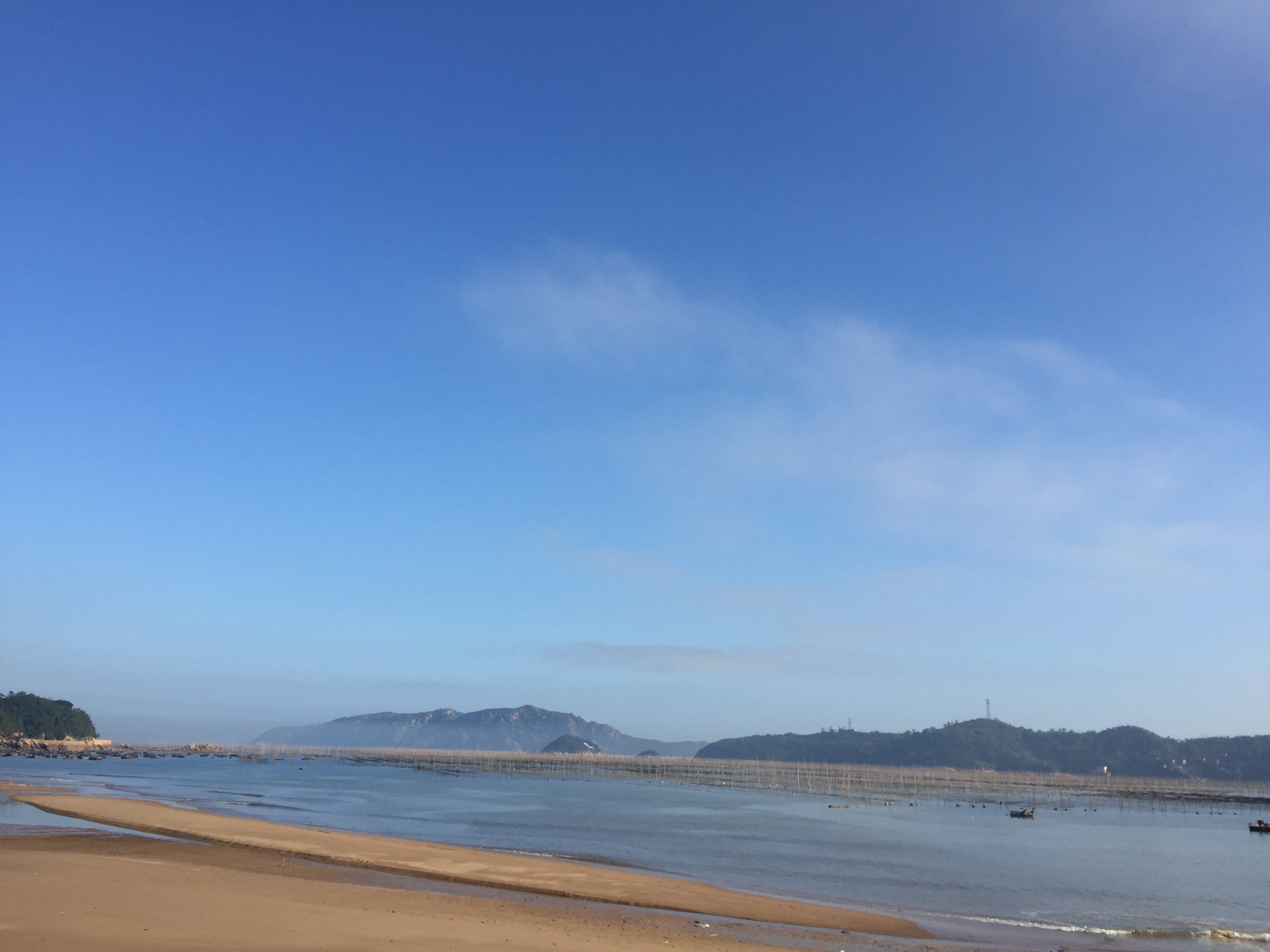 3451704">福鼎市沙埕镇大白鹭村位于沙埕港南岸,距福鼎市区45公里