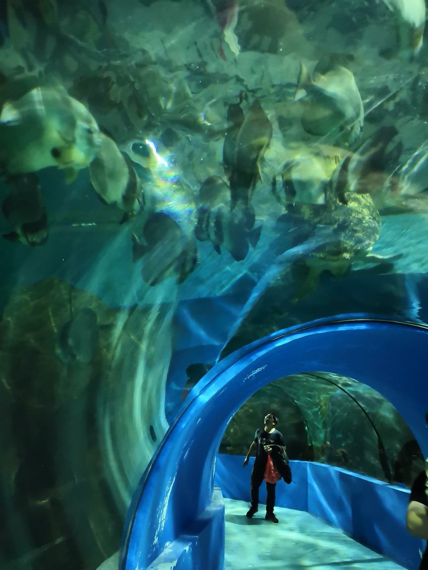 南通海底世界
