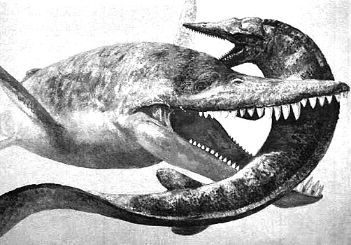  p>克柔龙(属名:kronosaurus)又名克诺龙, a h