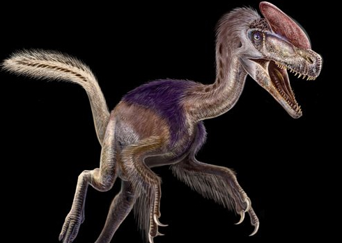  p data-id="gnwrfchwzl">冠龙(学名:corythosaurus),又名盔龙,鸡冠龙