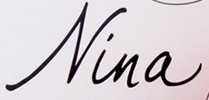  p data-id="gnvgqyjjtx">nina 是一个 .net 的微型 web 框架. /p>