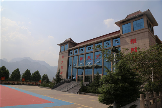 是少林寺院为弘扬少林文化 传承少林武术而创办的少林寺武僧团培训