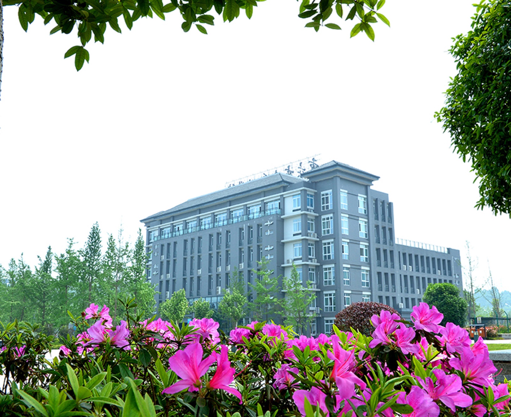 chongqing business vocational college