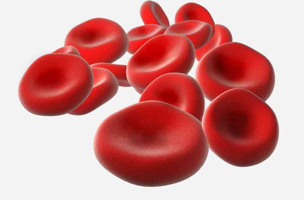  p>血红蛋白英文缩写为hgb或hb.