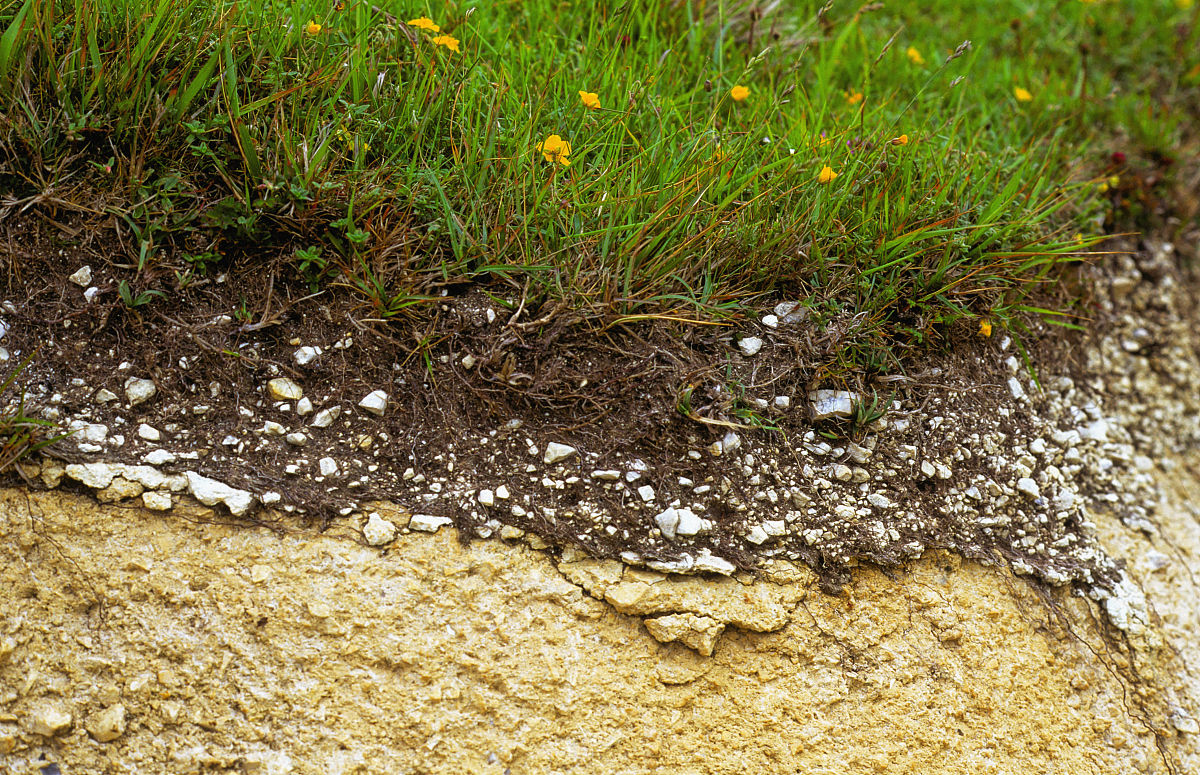 高层,一般将覆盖于基岩之上的第四纪冲积层和岩石风化带统称为表土层
