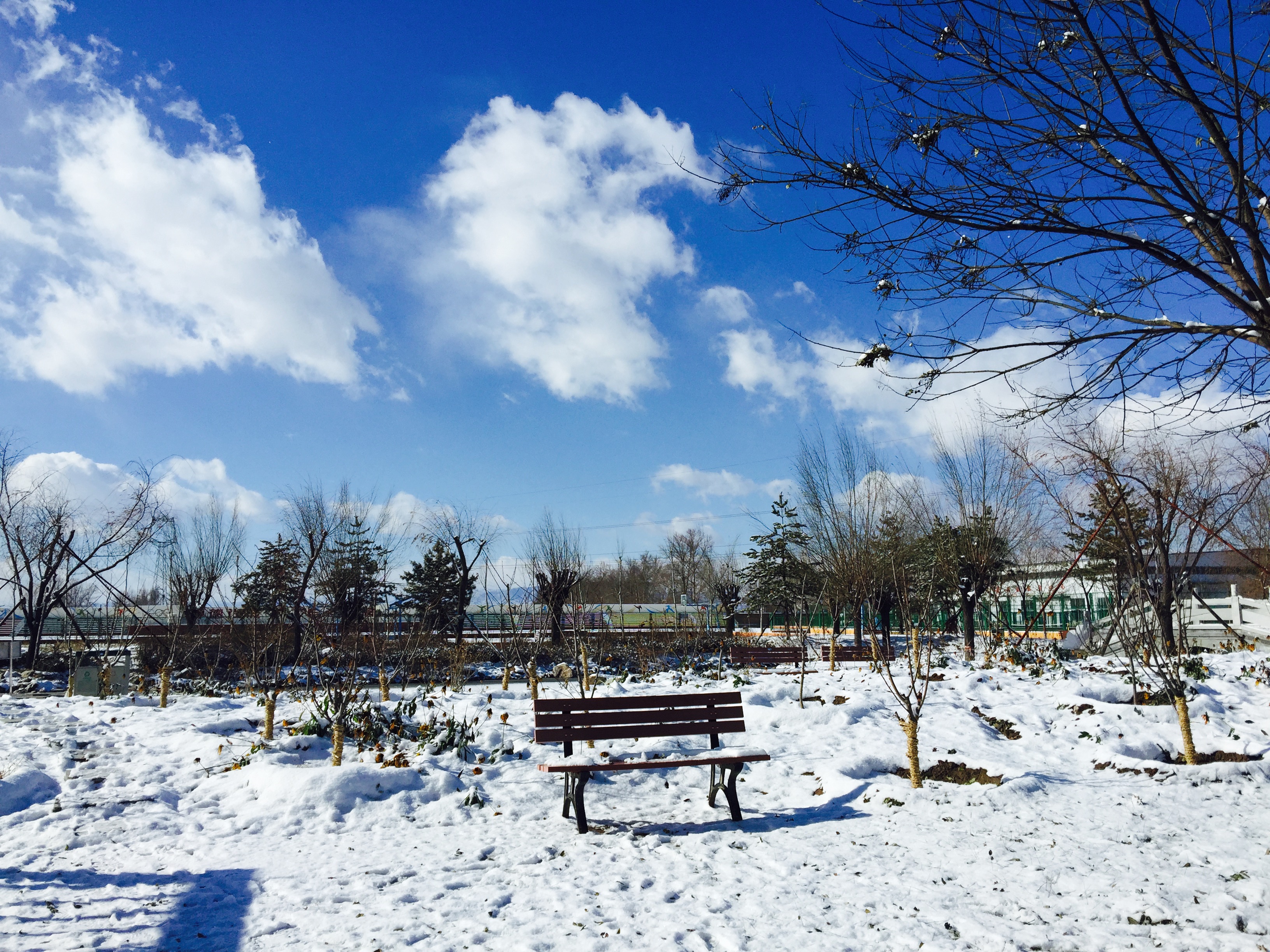 ְҵѧԺ_ְҵѧԺУô_ְҵѧԺʲôѧ