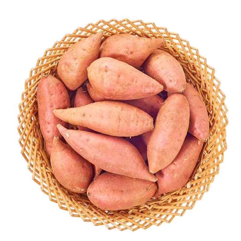  p>泗水地瓜,山东省济宁市 a target="_blank" href="/item/泗水县