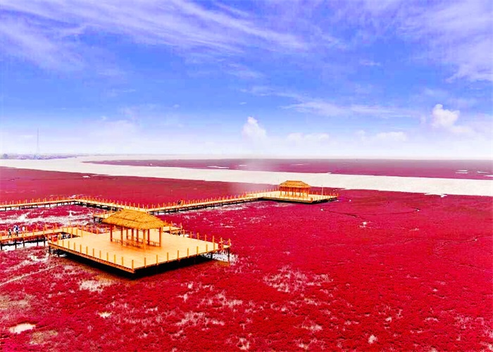 辽宁省盘锦市红海滩风景廊道景区