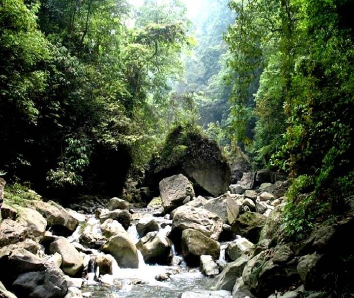 冷水河森林公园