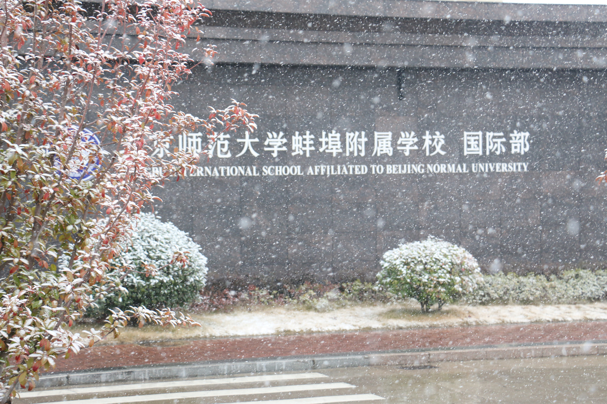  p>北师大蚌埠附校国际部是学校和 a target="_blank" href="/item