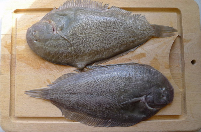  p> a target="_blank" href="/item/鳎鱼/5301002" data-lemmaid="