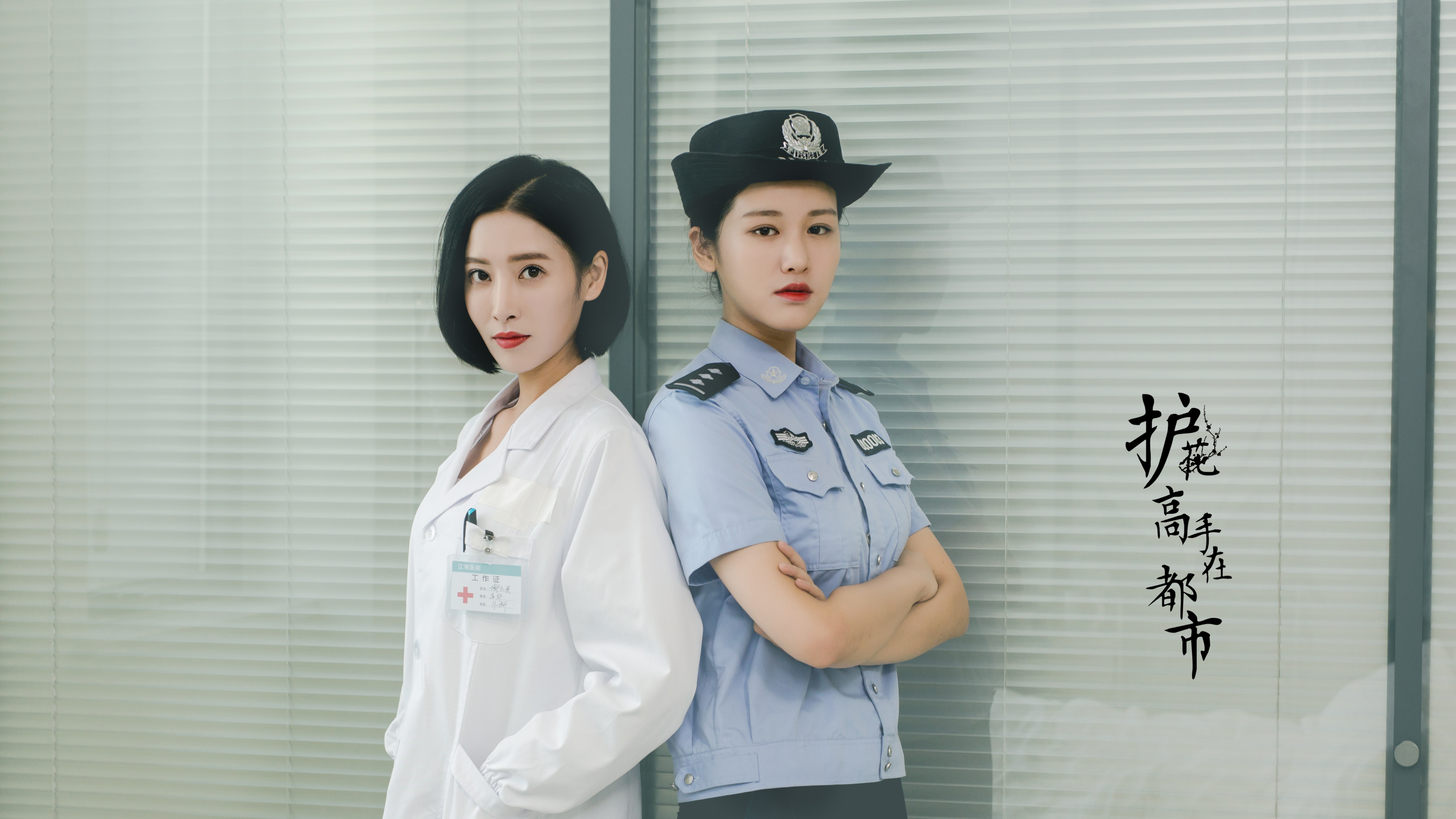 护花高手在都市