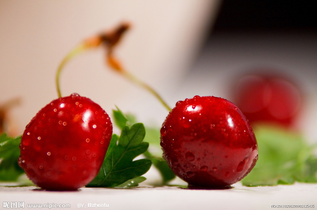  p>车厘子,音译自英语单词 b>cherries /b>(即樱桃),特指产于 a