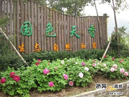 牡丹