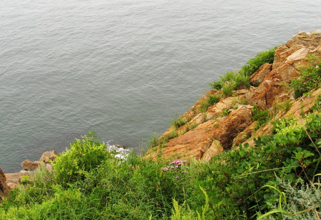 辽宁蛇岛老铁山国家级自然保护区