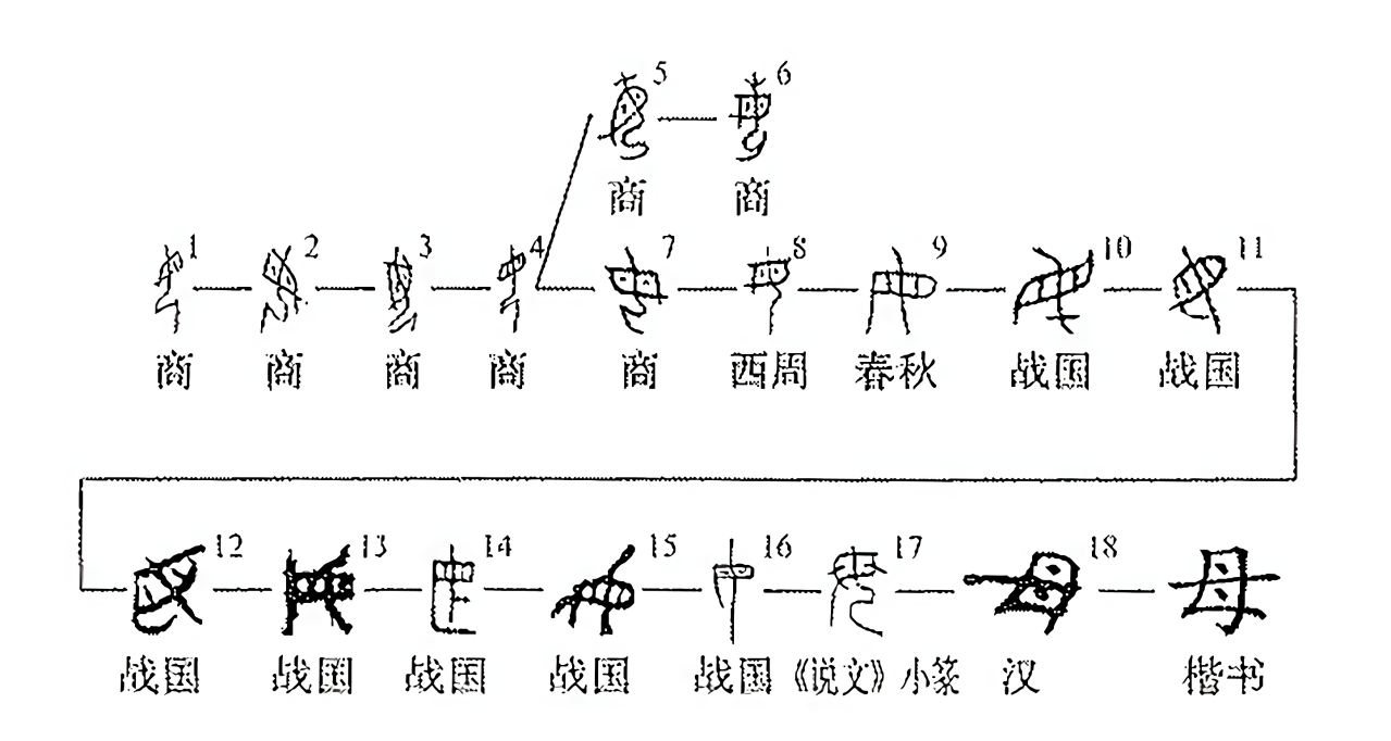 母（汉语汉字）_百度百科
