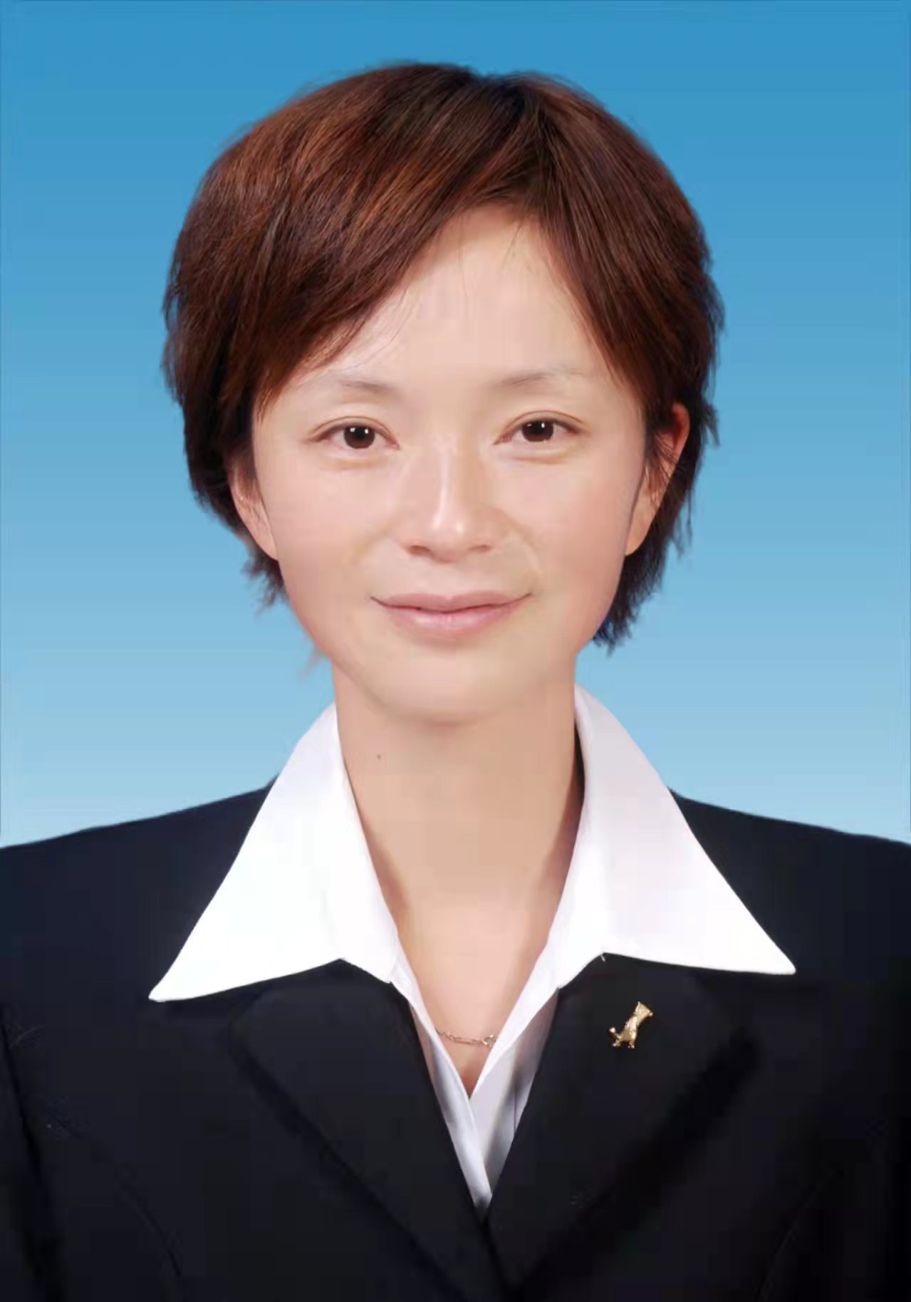 data-id="u2mvaful6fun">现任云南省保山市腾冲市人民政府副市长