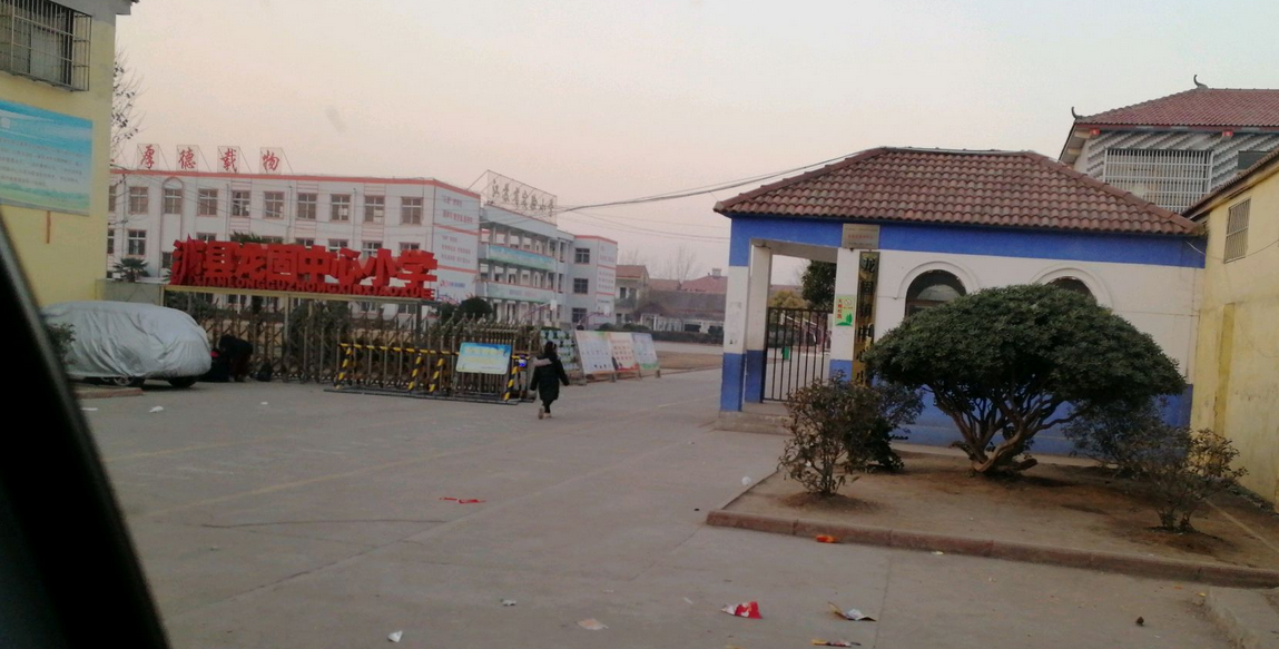  p>龙固中心小学位于龙固镇北部,镇政府东北1公里,在党和政府的领导下