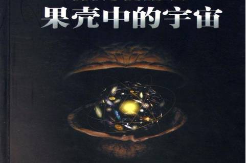 果壳中的宇宙:插图版