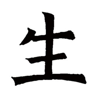 生（汉语文字）_百度百科